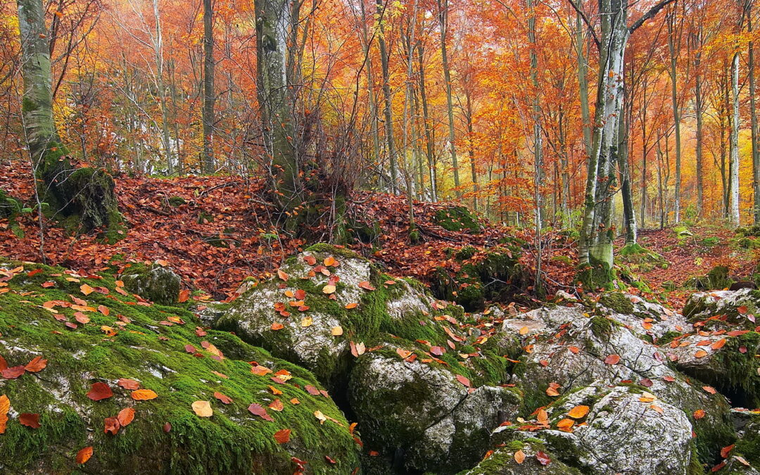 GIORNATA MONDIALE DELLE RISERVE DELLA BIOSFERA