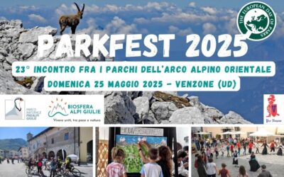 PARKFEST 2025