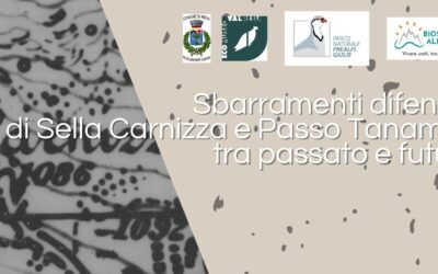 SBARRAMENTI DIFENSIVI DI SELLA CARNIZZA E PASSO TANAMEA TRA PASSATO E FUTURO