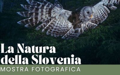 INAUGURAZIONE MOSTRA FOTOGRAFICA “LA NATURA DELLA SLOVENIA”