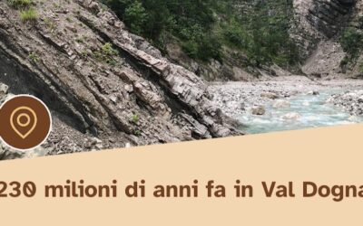 230 MILIONI DI ANNI FA IN VAL DOGNA. GRANDI RETTILI IN UN MARE TROPICALE: LA NUOVA APP