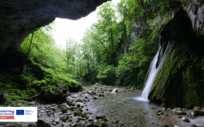 CREAZIONE, STRUTTURAZIONE E IMPLEMENTAZIONE DI STAZIONE PER LA TERAPIA FORESTALE IN BENEČIJA