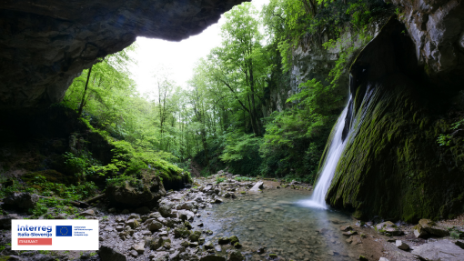 CREAZIONE, STRUTTURAZIONE E IMPLEMENTAZIONE DI STAZIONE PER LA TERAPIA FORESTALE IN BENEČIJA