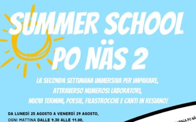 SUMMER SCHOOL PO NäS