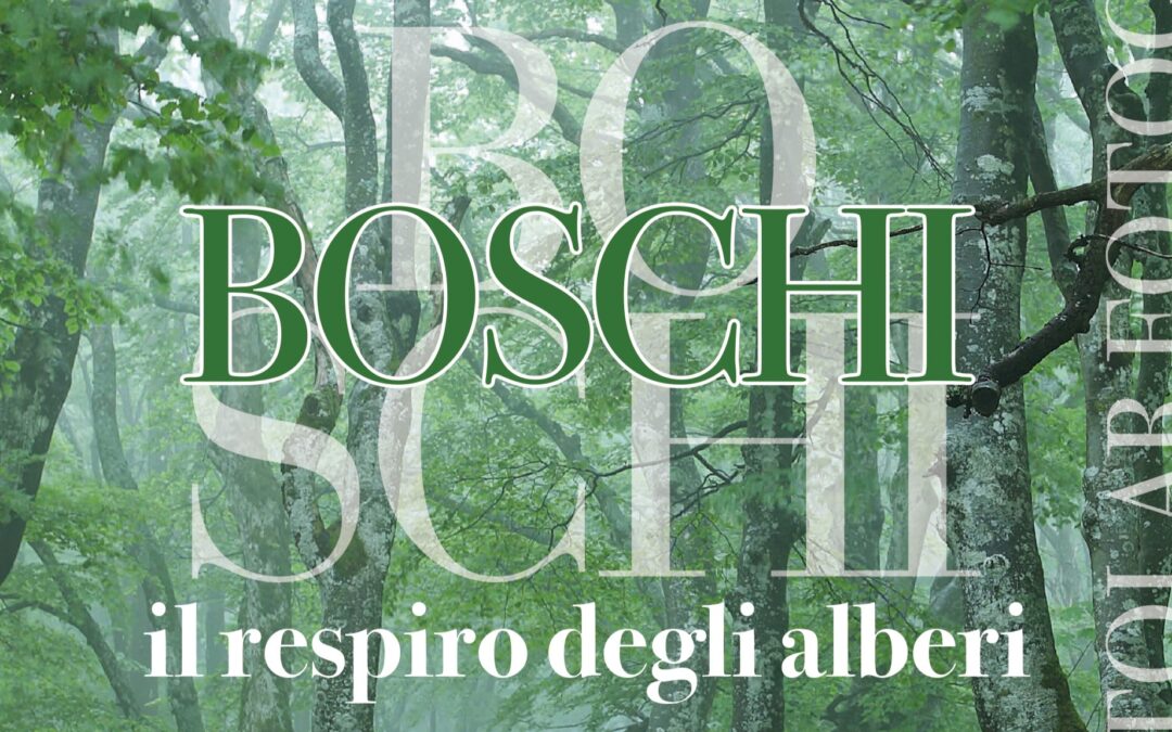 MOSTRA FOTOGRAFICA “BOSCHI. IL RESPIRO DEGLI ALBERI”