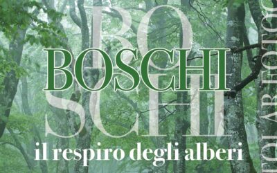 MOSTRA FOTOGRAFICA “BOSCHI. IL RESPIRO DEGLI ALBERI”