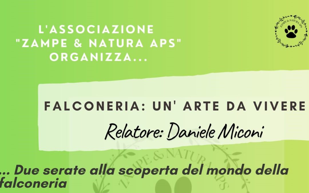 FALCONERIA: UN’ARTE DA VIVERE