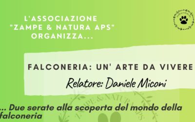 FALCONERIA: UN’ARTE DA VIVERE