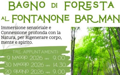 BAGNO DI FORESTA AL FONTANONE BARMAN IN VAL RESIA
