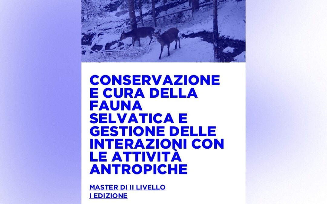 MASTER II LIVELLO “CONSERVAZIONE E CURA DELLA FAUNA SELVATICA E GESTIONE DELLE INTERAZIONI CON LE ATTIVITÀ ANTROPICHE” DELL’UNIVERSITA’ DEGLI STUDI DI UDINE