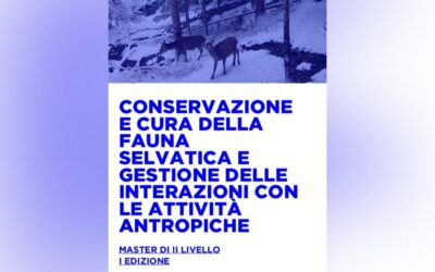 MASTER II LIVELLO “CONSERVAZIONE E CURA DELLA FAUNA SELVATICA E GESTIONE DELLE INTERAZIONI CON LE ATTIVITÀ ANTROPICHE” DELL’UNIVERSITA’ DEGLI STUDI DI UDINE